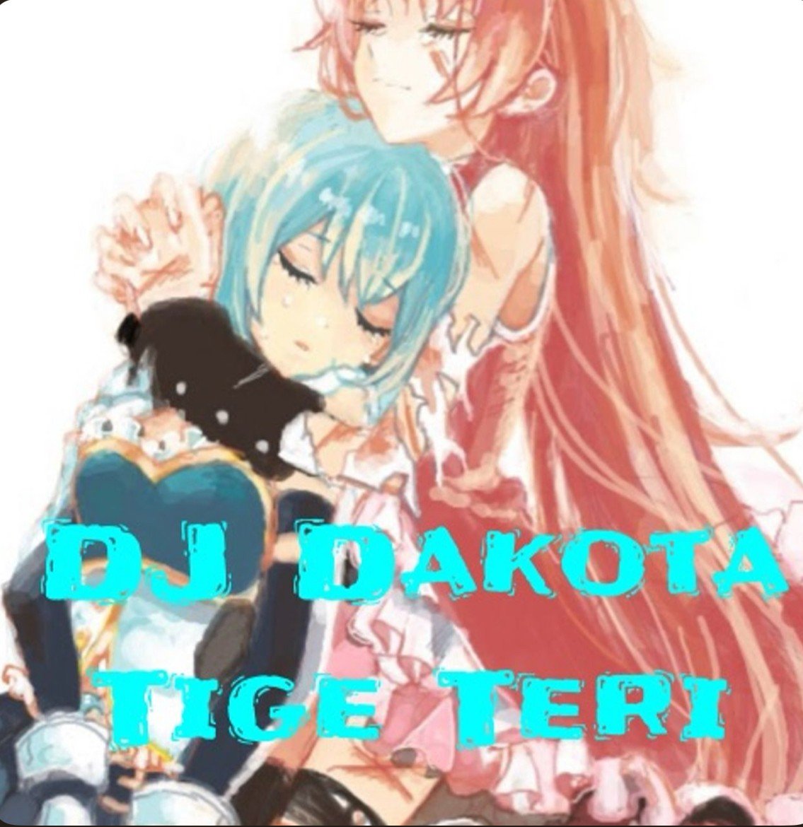 DJ Dakota, Party and Vegas DJ